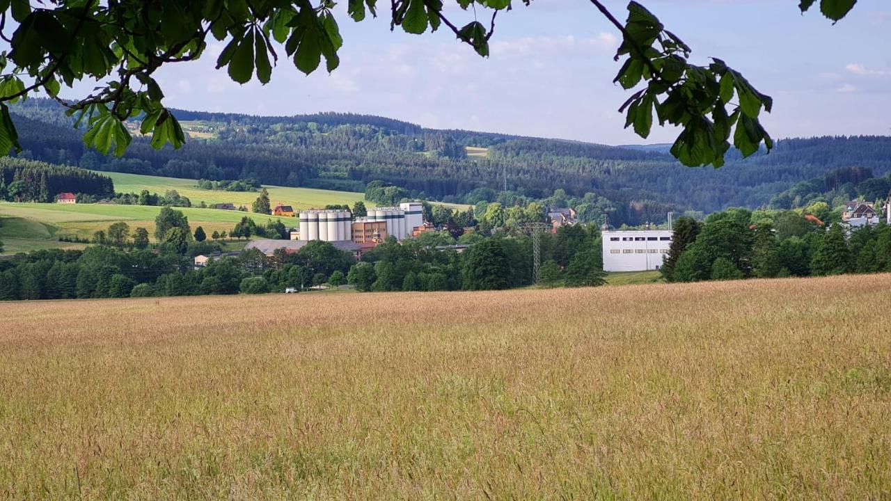 Pension Wernesgruen Wernesgrun Exterior foto